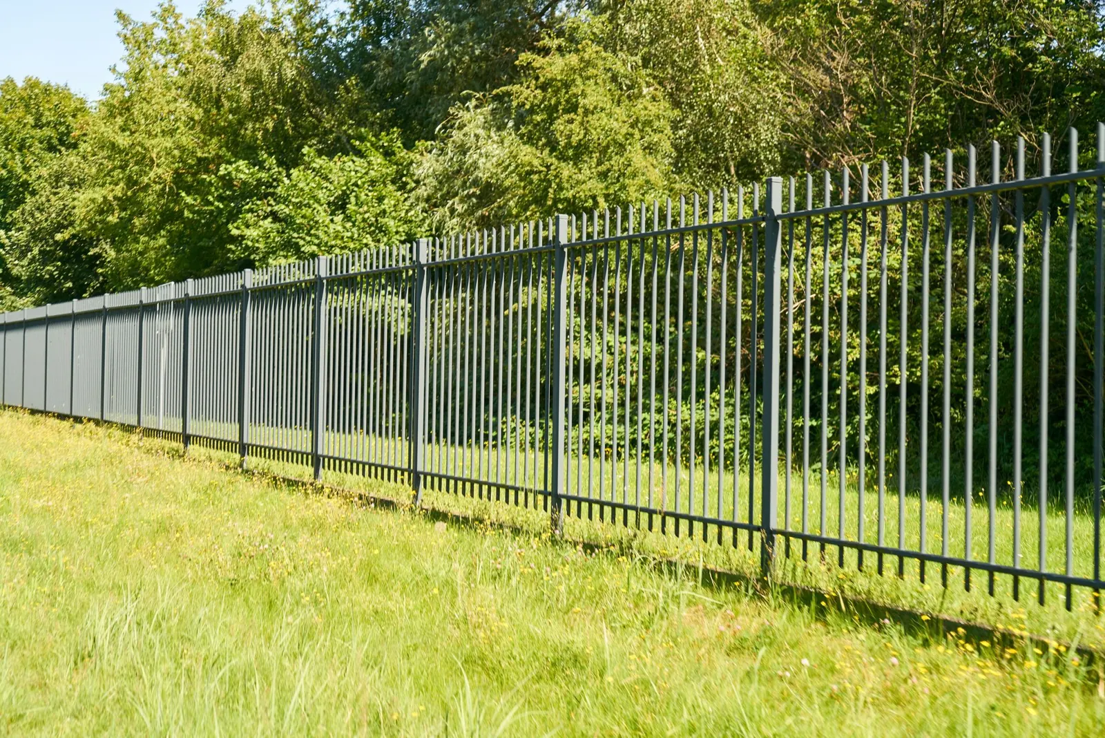 Black ornamental steel fence along a mowed field