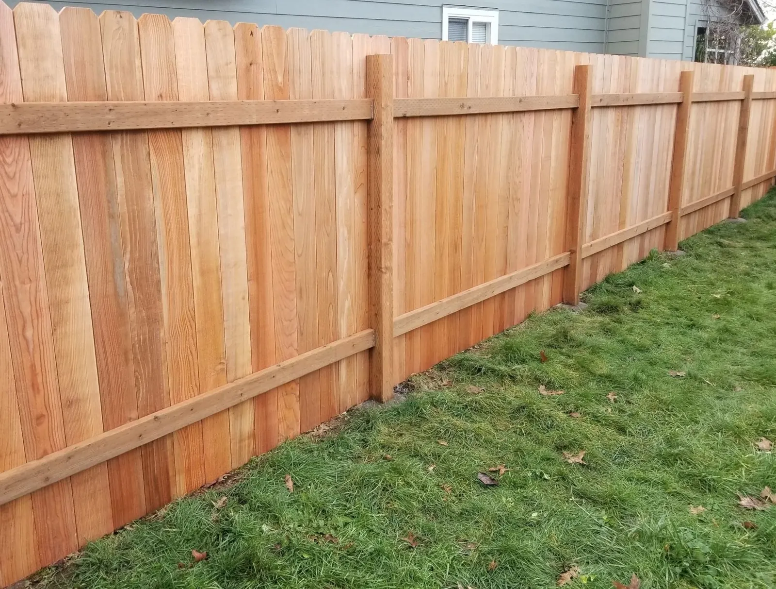 Cedar board privacy fence along a grassy backyard