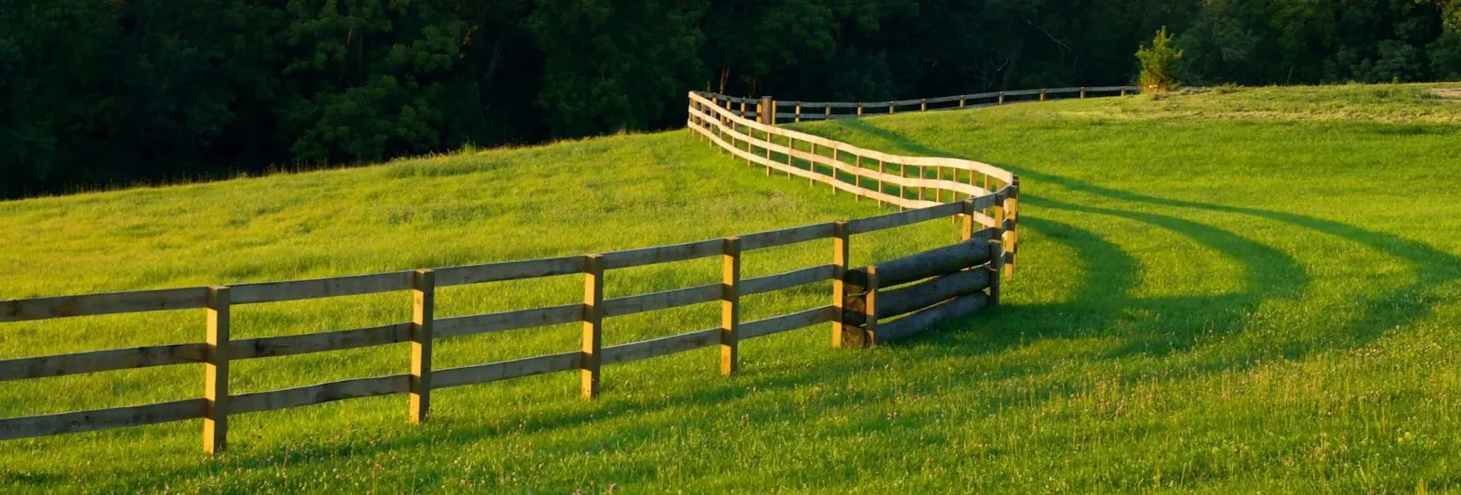 Wood ranch-rail fence curving across a green pasture